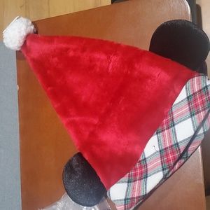 Disney Park santa hat